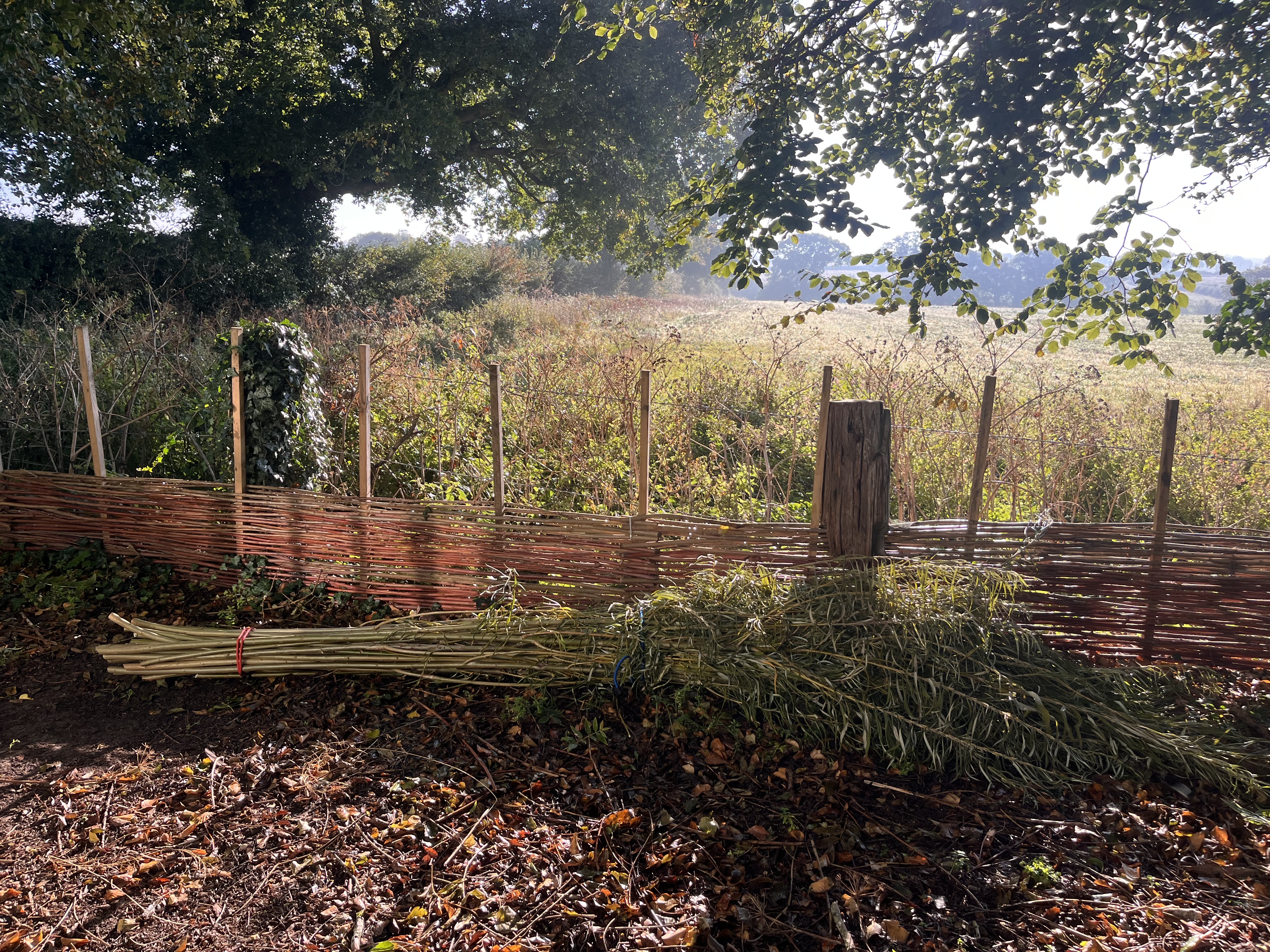 Bushcraft skills session