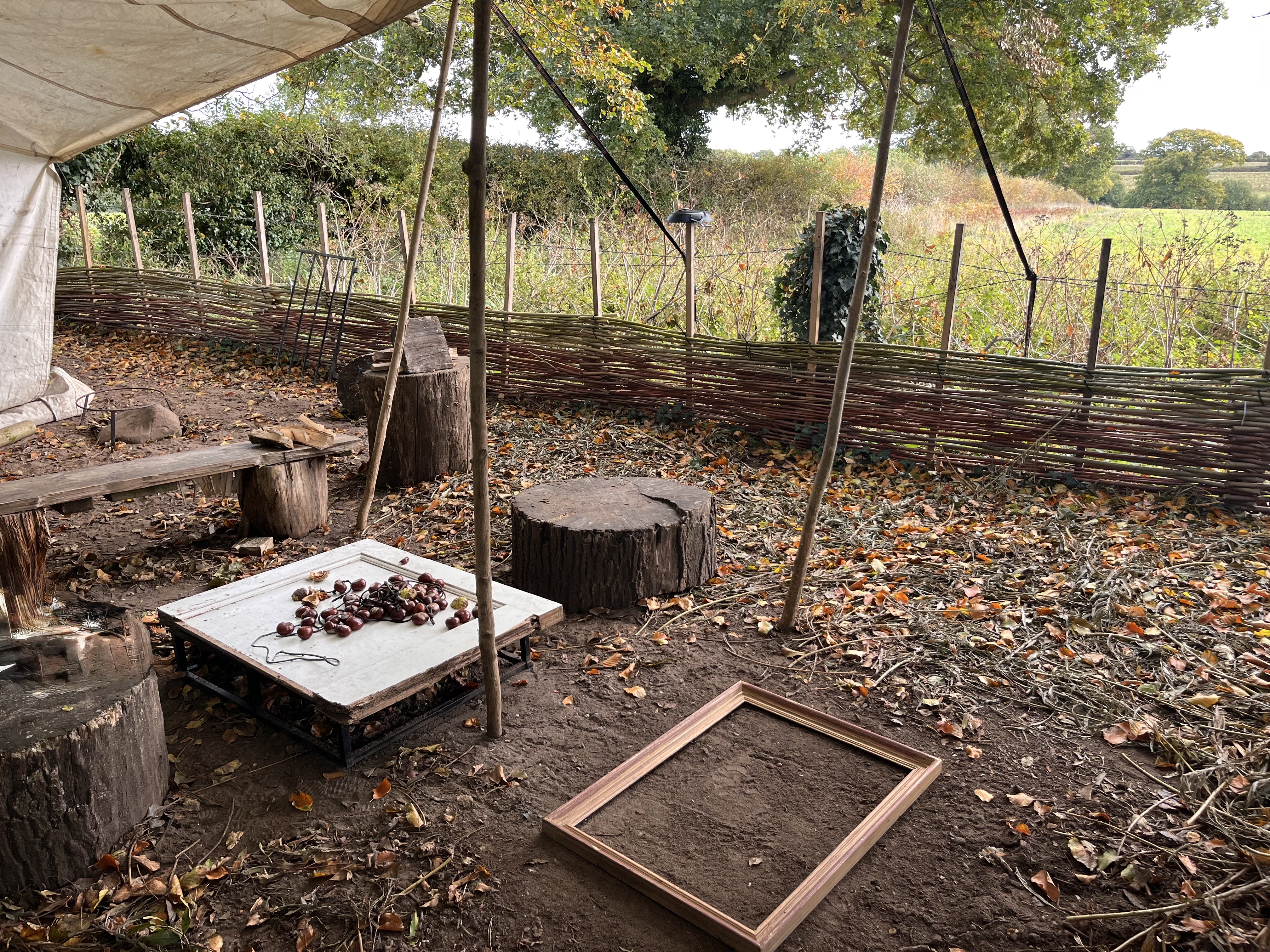 Forest School session