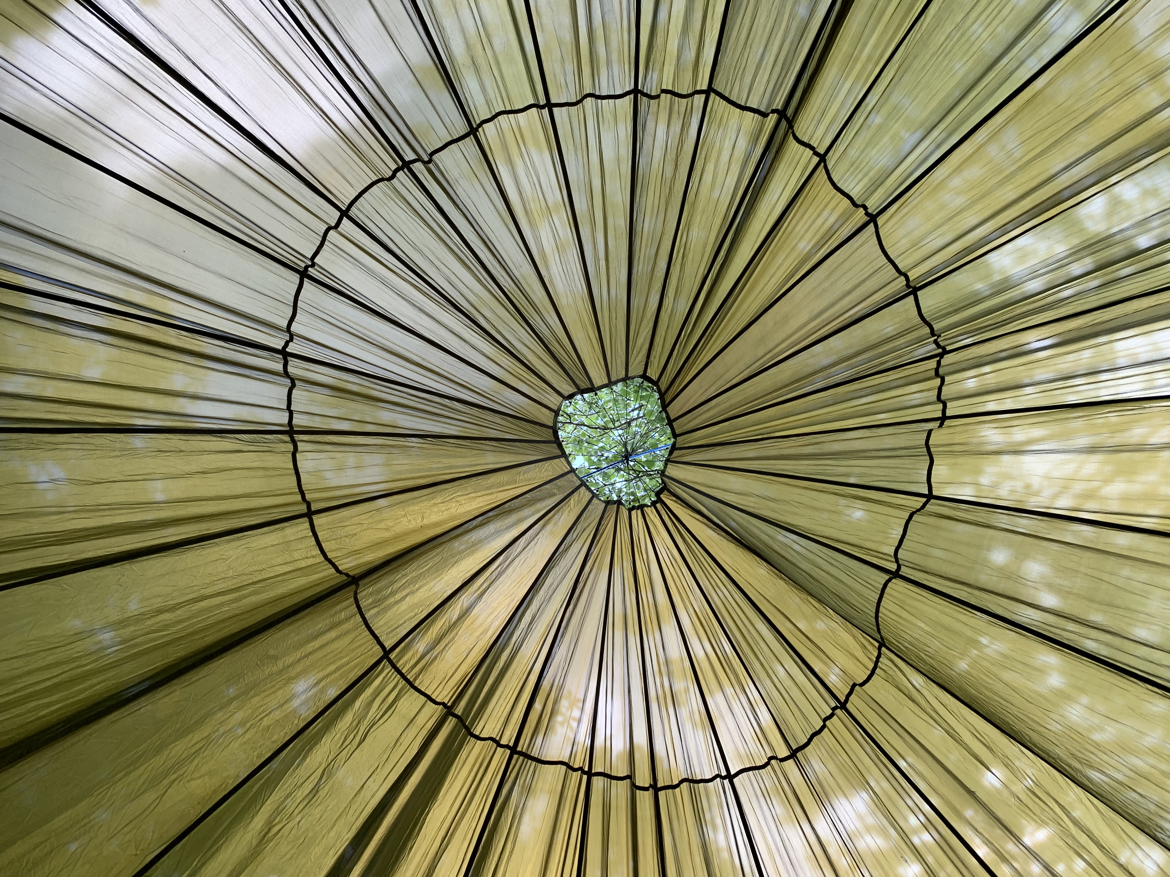 Nature connection session